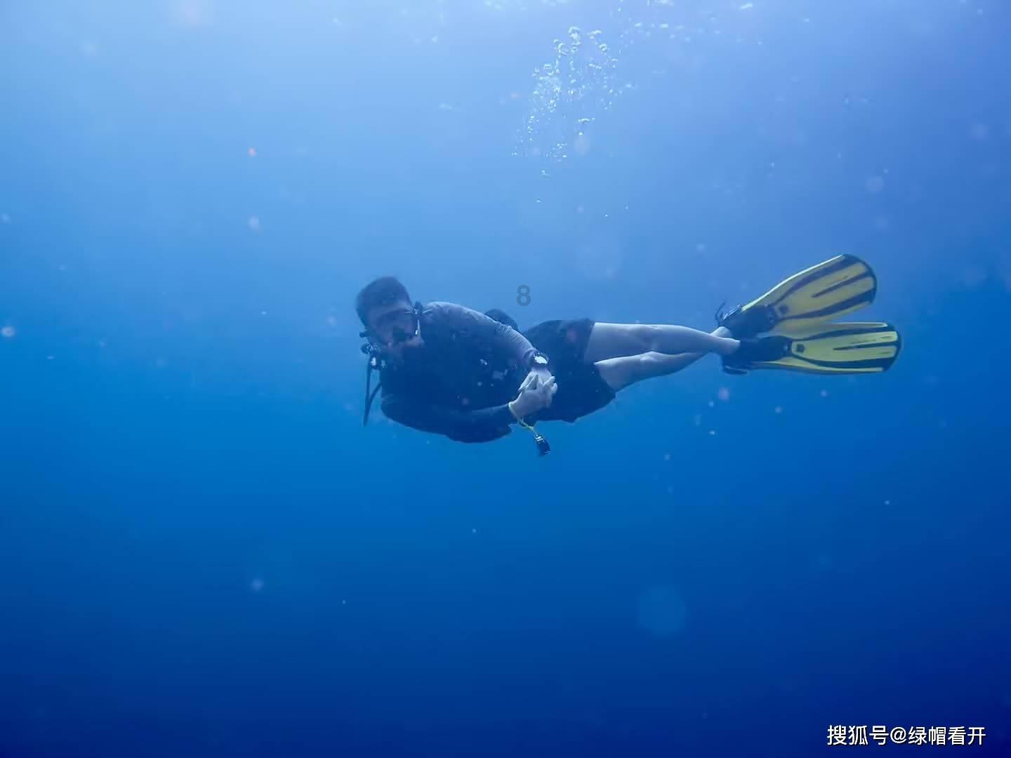 卡通小车找不同